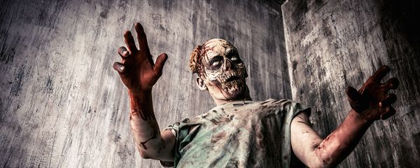 Zombie Zombie - Sputnik Việt Nam