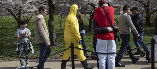 Người đàn ông trong bộ đồ bảo vệ màu vàng giữa mùa hoa anh đào ở Washington - Sputnik Việt Nam