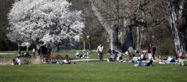 Các cư dân trong công viên dưới tán anh đào nở bừng ở Đức - Sputnik Việt Nam