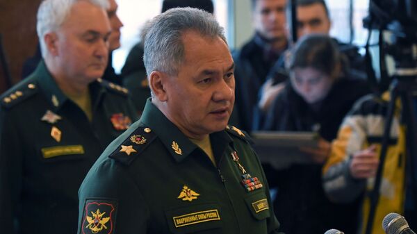 Bộ trưởng Quốc phòng Nga Sergei Shoigu - Sputnik Việt Nam