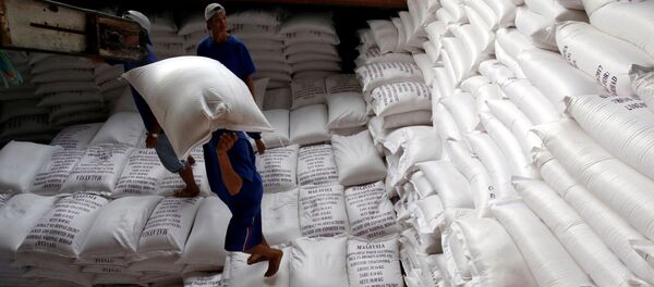 Xuất khẩu gạo - Sputnik Việt Nam