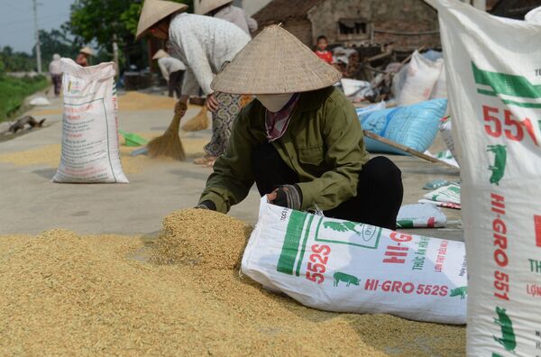 Thủ tướng chỉ đạo khẩn vụ Bộ Công thương đề xuất tiếp tục cho xuất khẩu gạo - Sputnik Việt Nam