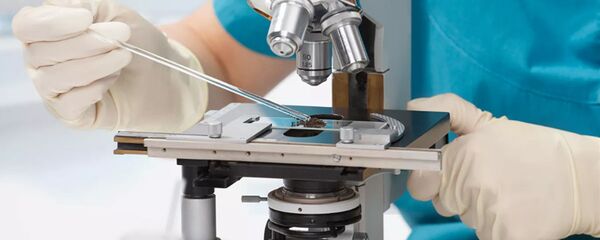 Kính hiển vi Kính hiển vi - Sputnik Việt Nam