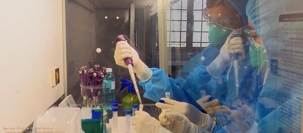 Nhân viên y tế tại Bệnh viên Đa khoa tỉnh Phú Yên xét nghiệm các mẫu bệnh phẩm. Nhân viên y tế tại Bệnh viên Đa khoa tỉnh Phú Yên xét nghiệm các mẫu bệnh phẩm. - Sputnik Việt Nam