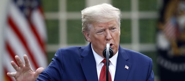 Tổng thống Mỹ Donald Trump - Sputnik Việt Nam