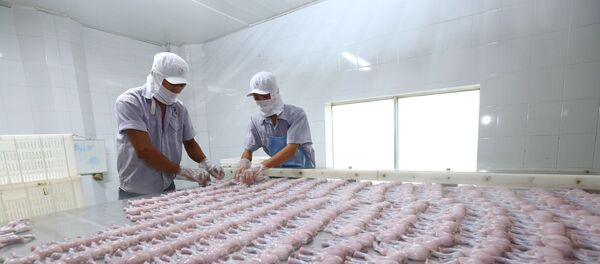 Dây chuyền chế biến thịt ếch xuất khẩu sang EU tại Công ty TNHH Tân Thành Lợi, tỉnh Long An. - Sputnik Việt Nam