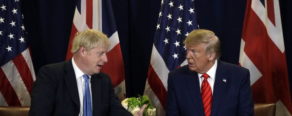 Cuộc gặp giữa Cựu Tổng thống Mỹ Donald Trump và Thủ tướng Anh Boris Johnson tại Đại Hội đồng Liên Hiệp Quốc - Sputnik Việt Nam