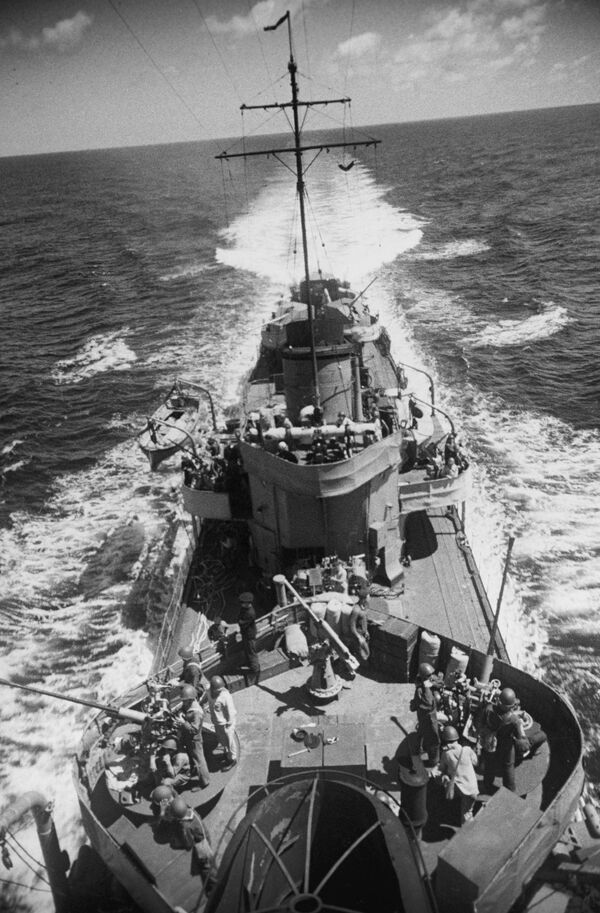 Thành phố Anh hùng Novorossiysk: Thành phố cảng Thành phố Anh hùng Novorossiysk: Thành phố cảng - Sputnik Việt Nam