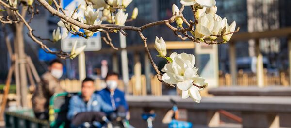 Bắc Kinh - Sputnik Việt Nam