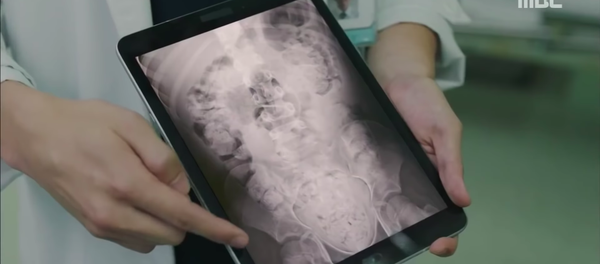 Trong loạt phim My Secret Terrius được chiếu trên Netflix, đại dịch coronavirus đã được dự đoán Trong loạt phim My Secret Terrius được chiếu trên Netflix, đại dịch coronavirus đã được dự đoán - Sputnik Việt Nam