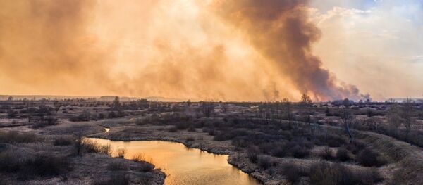 Hỏa hoạn trong khu vực cấm gần Chernobyl - Sputnik Việt Nam