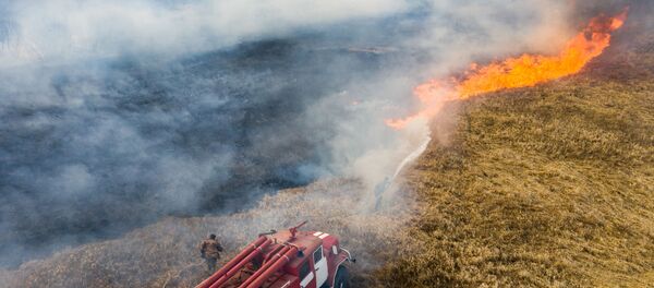 Hỏa hoạn trong khu vực cấm gần Chernobyl - Sputnik Việt Nam