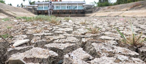 Lòng kênh trạm bơm Bình Phan (Tiền Giang) đã cạn khô, nứt nẻ do không lấy được nước ngọt - Sputnik Việt Nam
