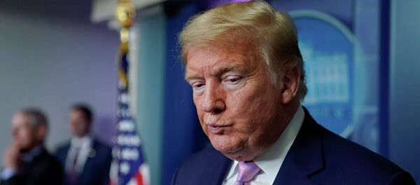 Tổng thống Mỹ Donald Trump Tổng thống Mỹ Donald Trump - Sputnik Việt Nam