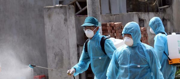 Phun khử khuẩn tại thôn Đông Cứu, xã Dũng Tiến. - Sputnik Việt Nam