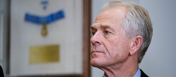 Peter Navarro - Sputnik Việt Nam