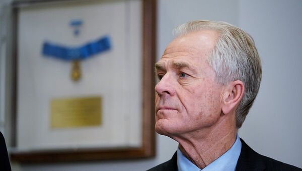 Peter Navarro - Sputnik Việt Nam