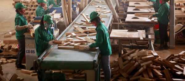 Chế biến gỗ trong Khu công nghiệp Cam Thành, huyện Cam Lộ - Sputnik Việt Nam