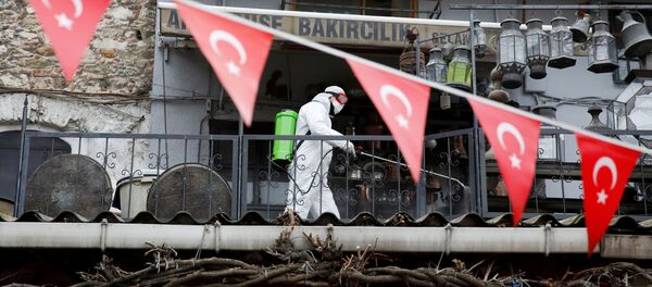 Các hoạt động khử trùng coronavirus ở Istanbul Các hoạt động khử trùng coronavirus ở Istanbul - Sputnik Việt Nam