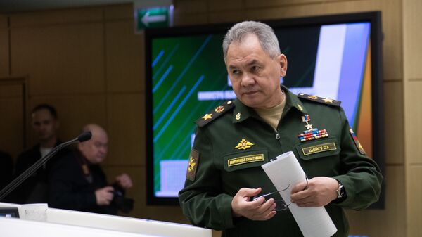 Bộ trưởng Quốc phòng Nga Sergei Shoigu - Sputnik Việt Nam