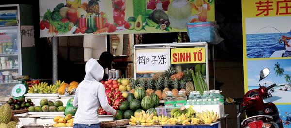 Cử tri lo ngại về tình trạng người nước ngoài, nhất là người Trung Quốc “lập xóm, lập phố” tại một vài địa phương. - Sputnik Việt Nam