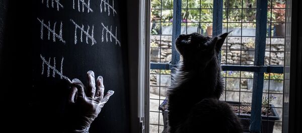 Con mèo theo dõi chủ, người đàn ông dùng phấn đánh dấu những ngày tự cách ly ở nhà, Lion, Pháp - Sputnik Việt Nam