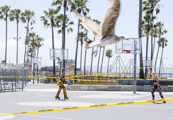 Từ búp bê bơm hơi đến thu hoạch vụ mùa: Thế giới ra khỏi chế độ cách ly như thế nào Từ búp bê bơm hơi đến thu hoạch vụ mùa: Thế giới ra khỏi chế độ cách ly như thế nào - Sputnik Việt Nam