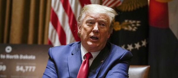 Tổng thống Donald Trump tại một cuộc họp tại Nhà Trắng ở Washington - Sputnik Việt Nam