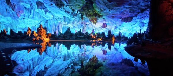 Hang Sáo ở Trung Quốc. Theo truyền thống, các thân cây đặc biệt mọc ở cửa hàng được dùng để chế tạo nhạc cụ - Sputnik Việt Nam