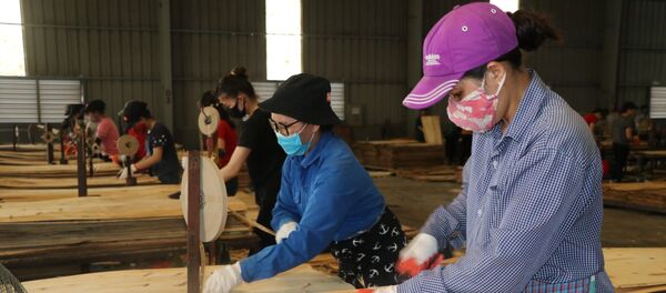 Công đoàn Công ty TNHH ngành gỗ Thiên An Việt Nam tại Yên Bái vẫn hỗ trợ lương, phụ cấp cho công nhân tạm nghỉ việc hoặc nghỉ luân phiên do ảnh hưởng dịch COVID-19.  - Sputnik Việt Nam