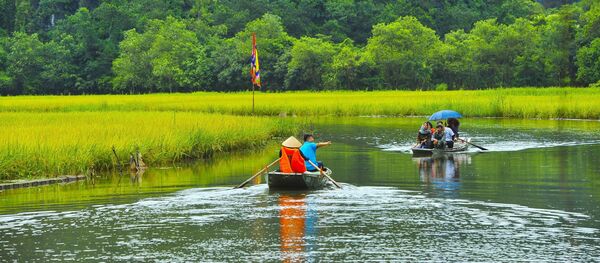 Tam Cốc mùa lúa chín - Sputnik Việt Nam