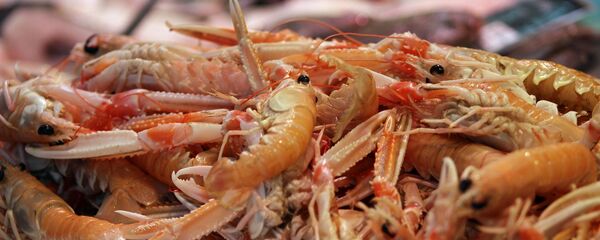 Tôm Tôm - Sputnik Việt Nam