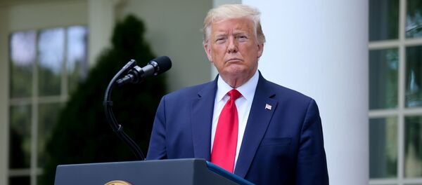 Tổng thống Mỹ Donald Trump tại cuộc họp báo tại Nhà Trắng - Sputnik Việt Nam