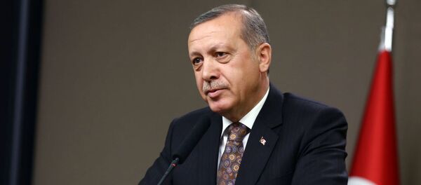 Tayyip Erdogan - Sputnik Việt Nam