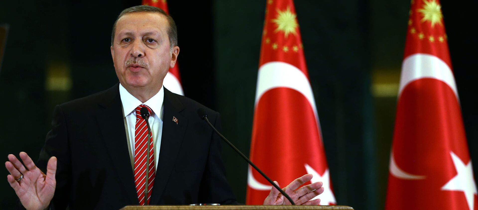 Tayyip Erdogan  - Sputnik Việt Nam, 1920, 31.05.2021