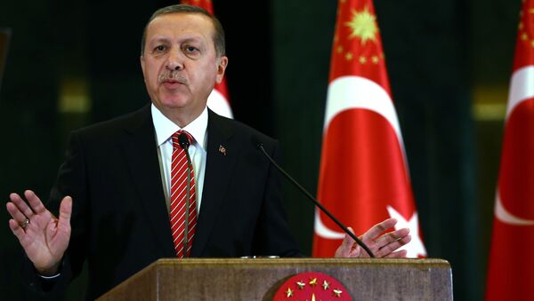 Tayyip Erdogan - Sputnik Việt Nam