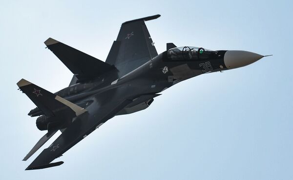 Tiêm kích cơ Su-30SM. - Sputnik Việt Nam