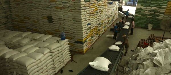 Chuẩn bị nguồn hàng gạo xuất khẩu tại Công ty Lương thực sông Hậu (Tổng công ty Lương thực miền Nam). - Sputnik Việt Nam