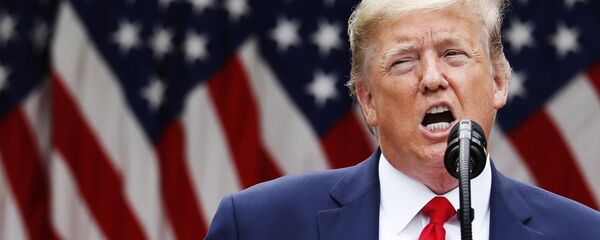 Tổng thống Hoa Kỳ Donald Trump. - Sputnik Việt Nam