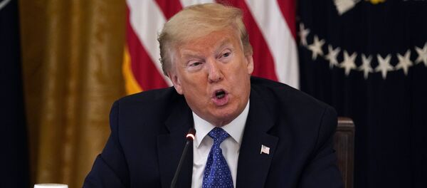 Tổng thống Mỹ Donald Trump - Sputnik Việt Nam