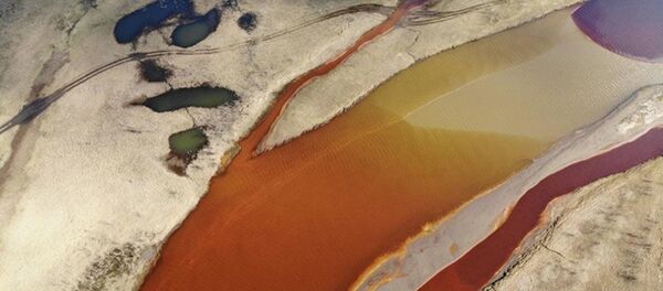 Tình trạng khẩn cấp ở cấp liên bang do sự cố tràn nhiên liệu ở Norilsk - Sputnik Việt Nam