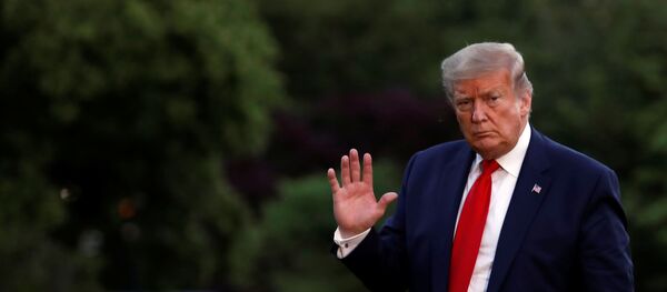 Tổng thống Mỹ Donald Trump trên bãi cỏ tại Nhà Trắng ở Washington - Sputnik Việt Nam