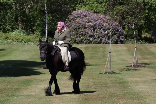 Nữ hoàng Elizabeth II Vương quốc Anh trên lưng ngựa trong Công viên Windsor Home Nữ hoàng Elizabeth II Vương quốc Anh trên lưng ngựa trong Công viên Windsor Home - Sputnik Việt Nam