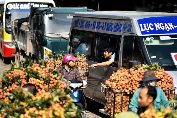 Nông dân Việt Nam bán vải thiều ngoài chợ - Sputnik Việt Nam