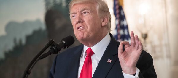 Tổng thống Mỹ Donald Trump - Sputnik Việt Nam