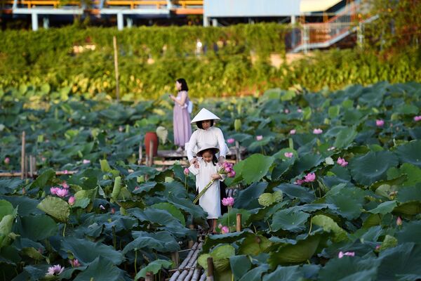 Người phụ nữ với em bé bên ao sen Hồ Tây, Hà Nội - Sputnik Việt Nam