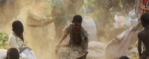 Phụ nữ và trẻ em thu hoạch ngũ cốc ở Malawi. Phụ nữ và trẻ em thu hoạch ngũ cốc ở Malawi. - Sputnik Việt Nam