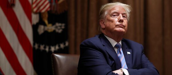 Tổng thống Mỹ Donald Trump - Sputnik Việt Nam