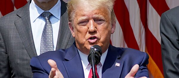 Tổng thống Mỹ Donald Trump trong một cuộc họp báo - Sputnik Việt Nam