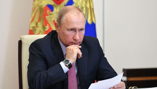 Tổng thống Nga Vladimir Putin  - Sputnik Việt Nam